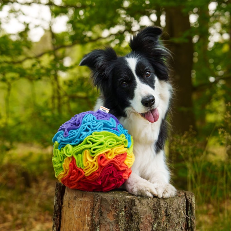 Schnüffelball Regenbogen für Hunde 20 cm XL 2