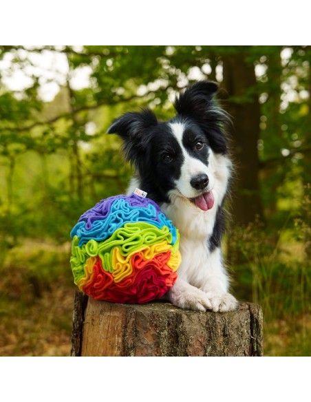 Schnüffelball Regenbogen für Hunde 20 cm XL