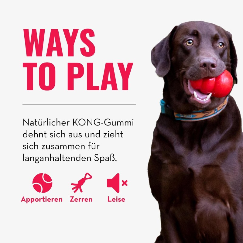 Zerrspielzeug für mittelgroße/große Hunde Kong