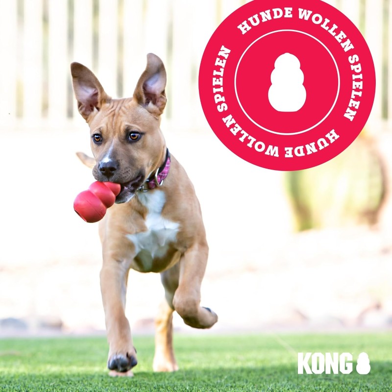 Zerrspielzeug für mittelgroße/große Hunde Kong