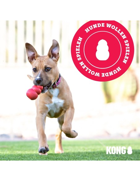 Zerrspielzeug für mittelgroße/große Hunde Kong