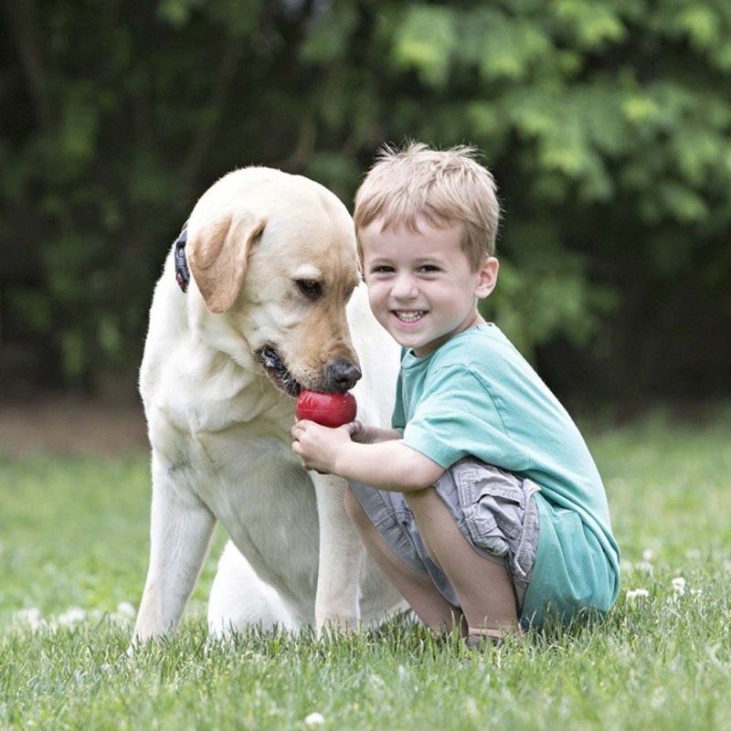 KONG® Classic Rot – Robustes Hundespielzeug aus...
