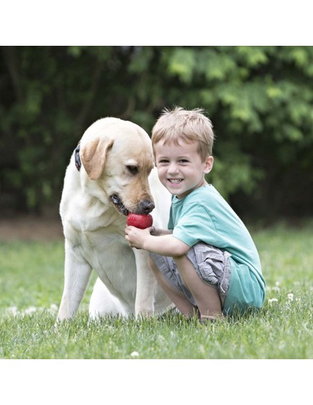 KONG® Classic Rot – Robustes Hundespielzeug aus Naturkautschuk
