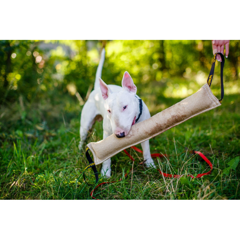 Hundespielzeug Jute-Bisszug 60 x 8 cm