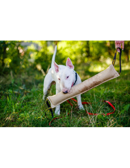 Hundespielzeug Jute-Bisszug 60 x 8 cm