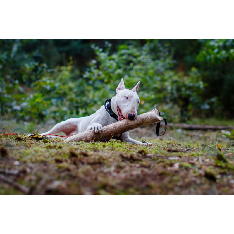 Hundespielzeug Jute-Bisszug 60 x 8 cm