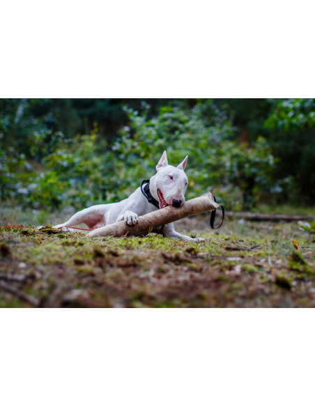 Hundespielzeug Jute-Bisszug 60 x 8 cm