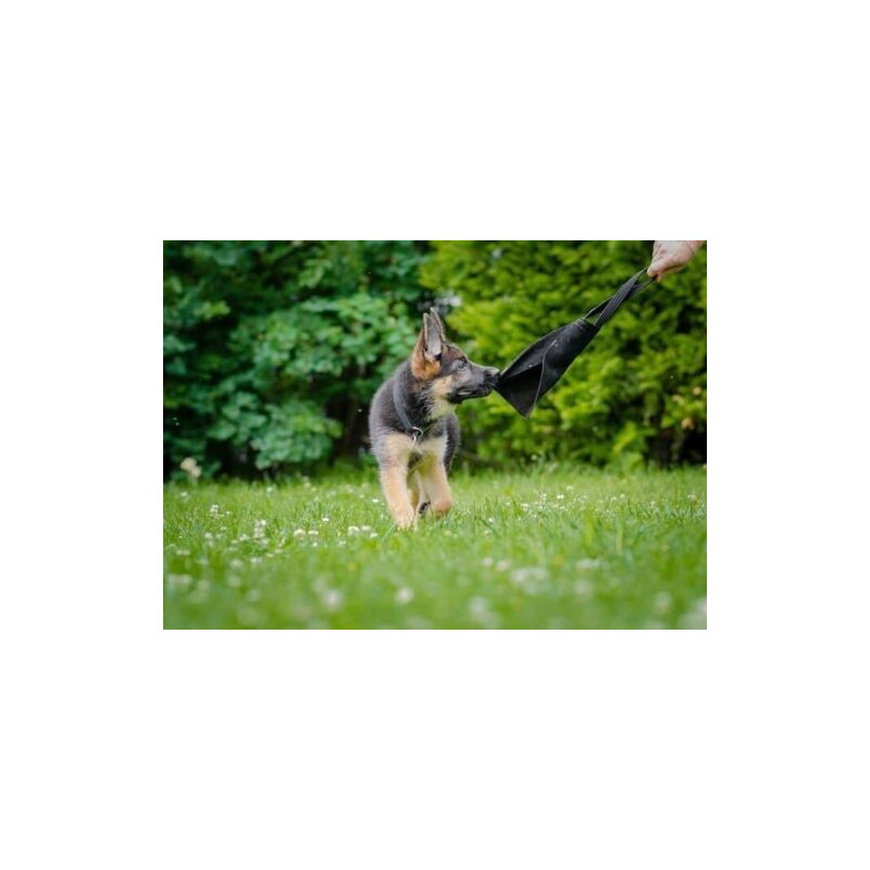 Beisswurst Aus Leder