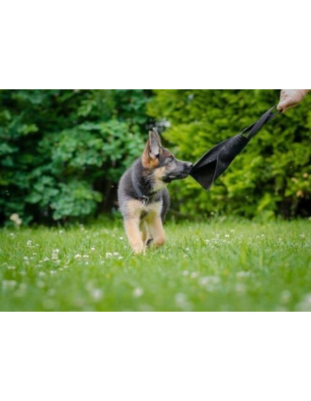 Beisswurst Aus Leder