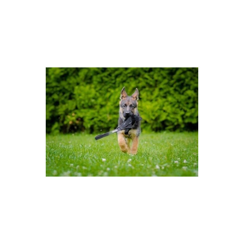 Beisswurst Aus Leder