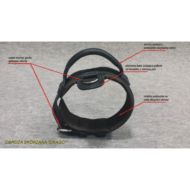 Lederhalsband für Hund ''Drago'' 2