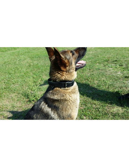 Lederhalsband für Hund ''Drago''