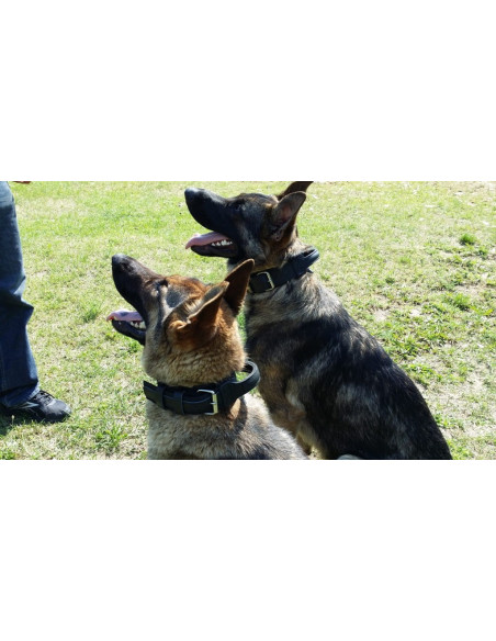 Lederhalsband für Hund ''Drago''