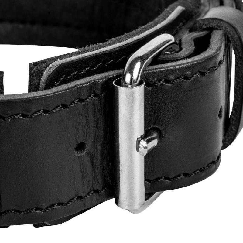 Lederhalsband für Hund ''Drago''