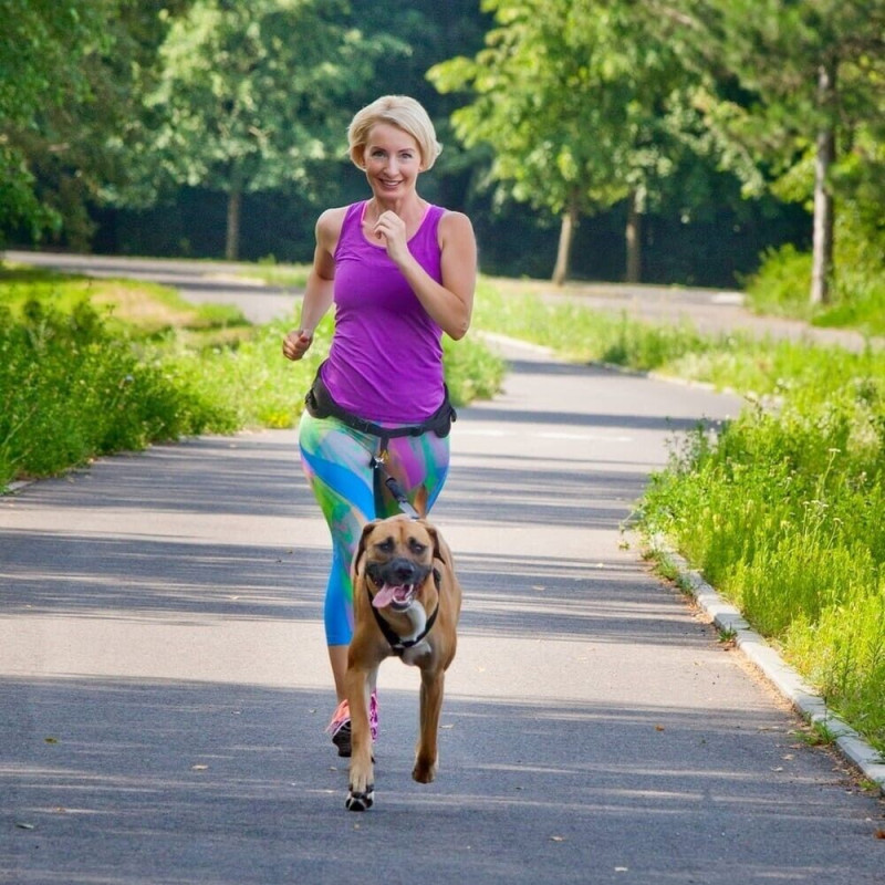 Canicross Komplett Lauf-Gürtel+Hundeleine