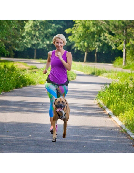Canicross Komplett Lauf-Gürtel+Hundeleine