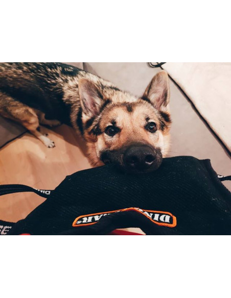 Dingo Gear Beißkissen Keilform Medium