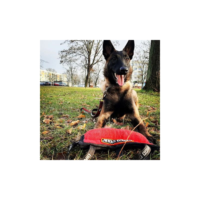 Dingo Gear Beißkissen Keilform Medium