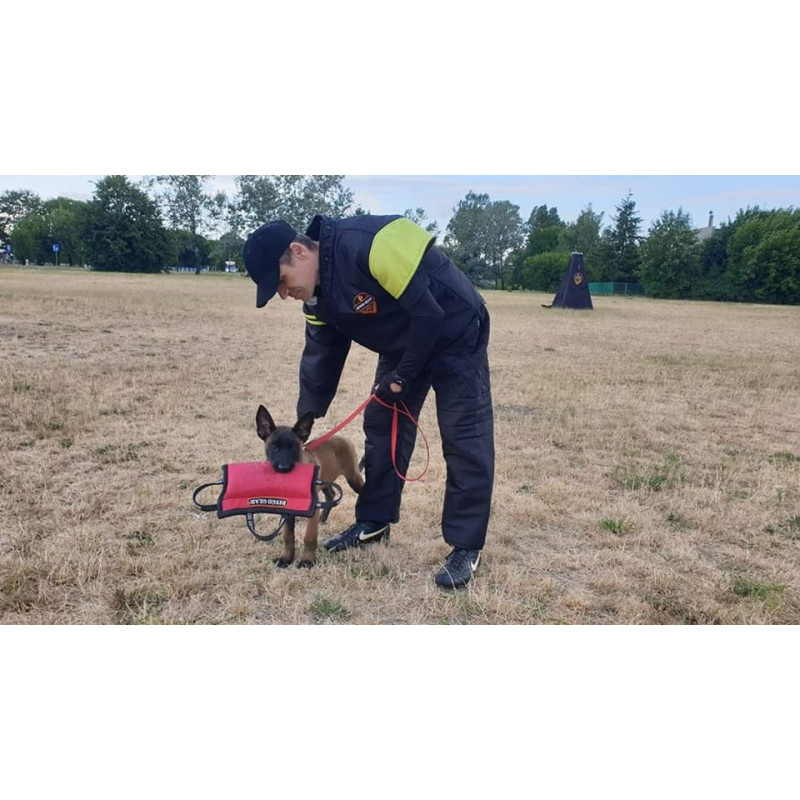 Dingo Gear Beißkissen Keilform Medium