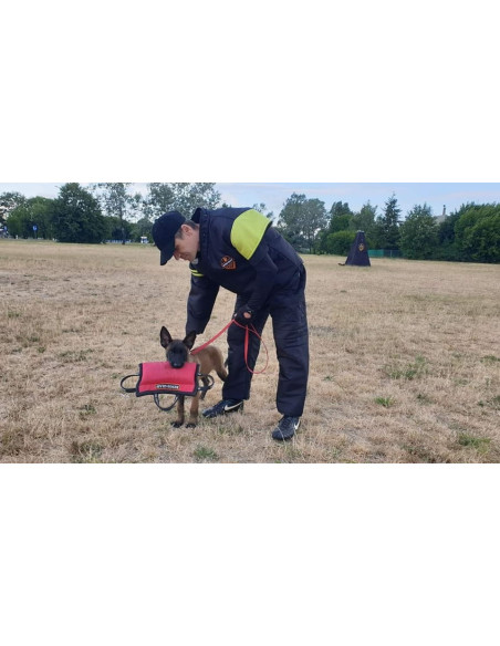 Dingo Gear Beißkissen Keilform Medium