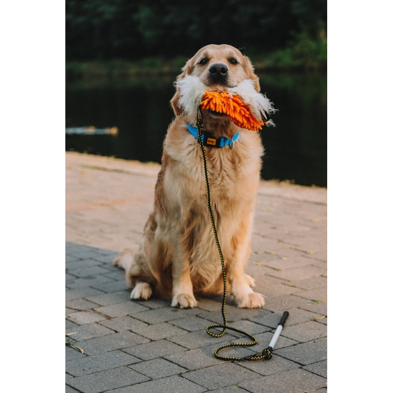 Dingo Angelrute Spielzeug mit Schnur Mop Orange...