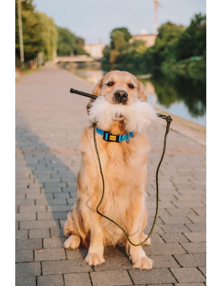 Dingo Angelrute Spielzeug mit Schnur Mop Orange + Schaff Pelz Reizange
