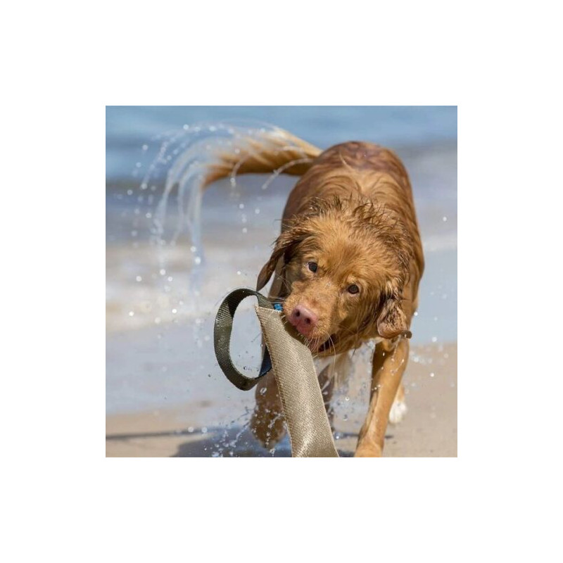 Super Solid Beißwurst mit Zwei Griffen