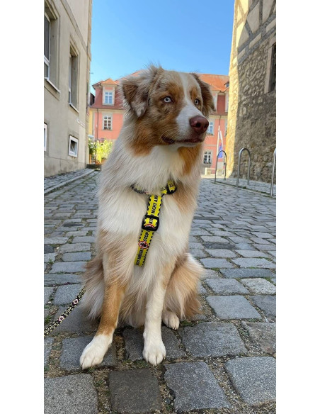 Hundegeschirre Guard Gelb Bitte Nicht Anfassen