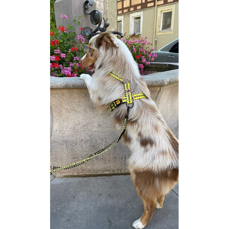 Hundegeschirre Guard Gelb Bitte Nicht Anfassen