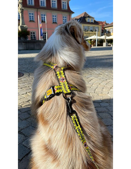 Hundegeschirre Guard Gelb Bitte Nicht Anfassen