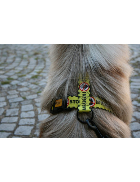 Hundegeschirre Guard Gelb Bitte Nicht Anfassen