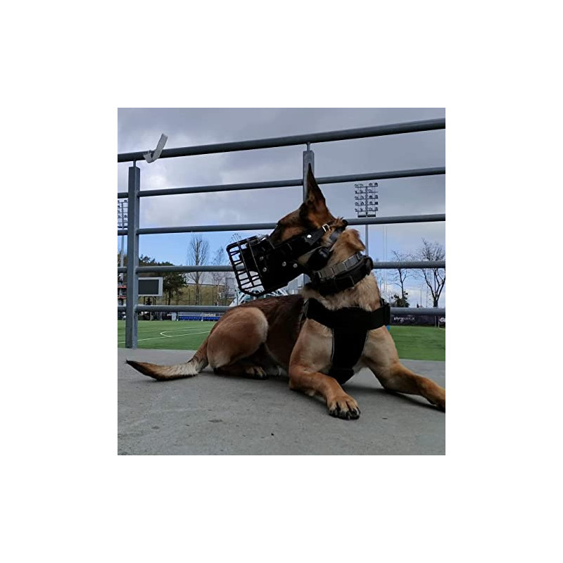 Dingo Gear Gummierte metallmaulkorbe K9 für Malinois Hündin 2