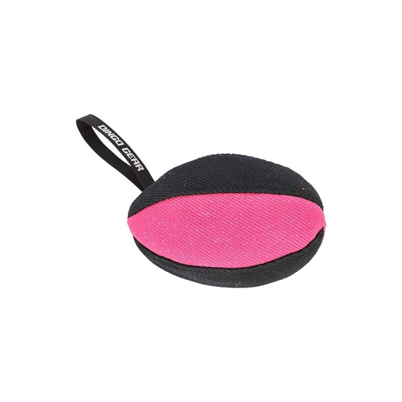 Hundespielzeug Rugby Apporte mit Griff