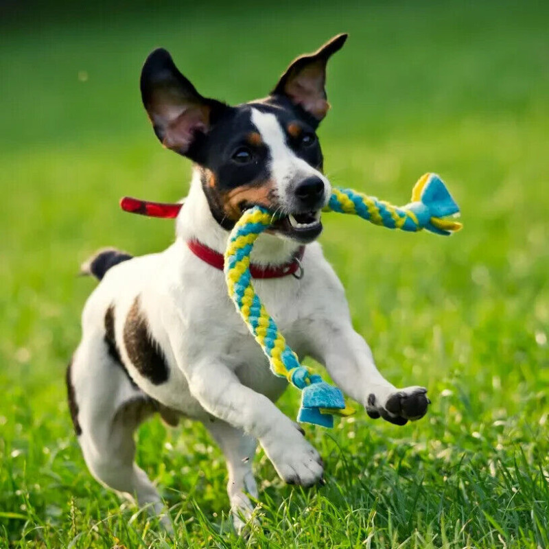 Hund Schlepper Fleece geflochten mit Schwänzen 35 cm