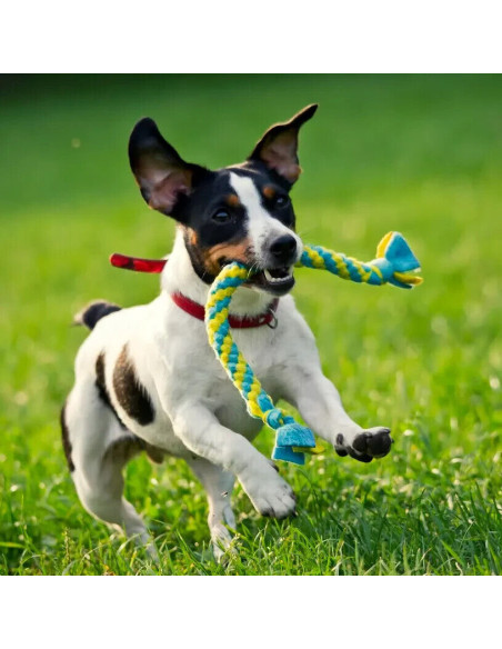 Hund Schlepper Fleece geflochten mit Schwänzen 35 cm