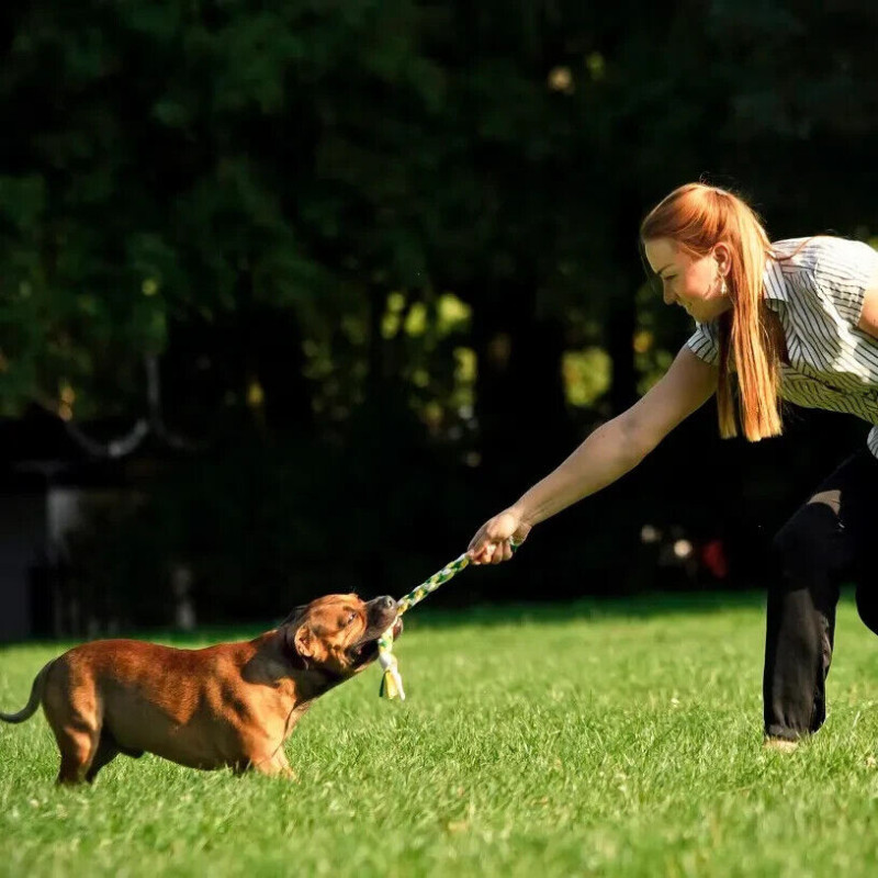 Hund Schlepper Fleece geflochten mit Schwänzen...