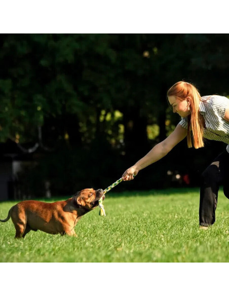 Hund Schlepper Fleece geflochten mit Schwänzen 35 cm