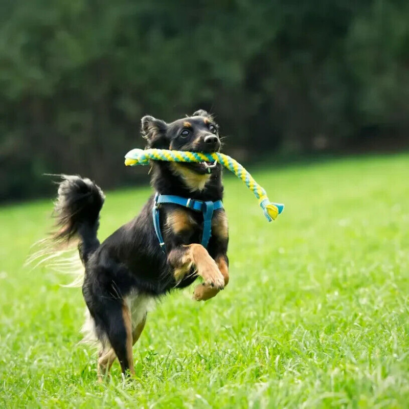 Hund Schlepper Fleece geflochten mit Schwänzen...