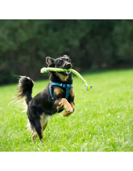 Hund Schlepper Fleece geflochten mit Schwänzen 35 cm