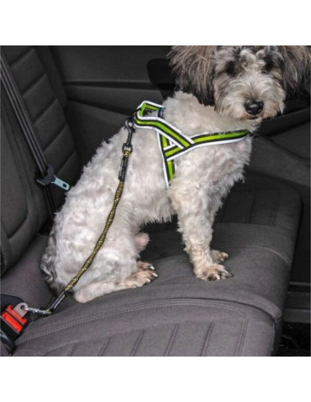 Hunde Sicherheitsgurt Ruckdämpfung bis 20 kg