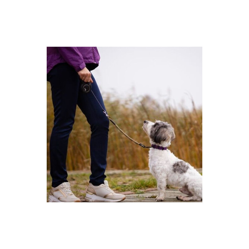 Hunde Sicherheitsgurt Ruckdämpfung bis 20 kg