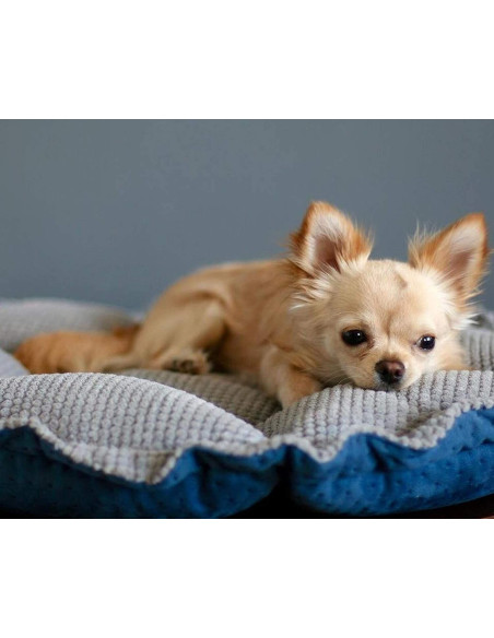 Lauren Design Hundebett