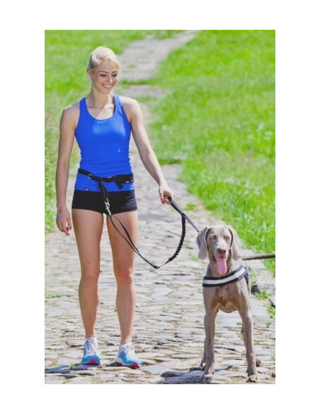 Dingo Jogginggurt 4 in 1 +Hundeleine mit einem Stoßdämpfer