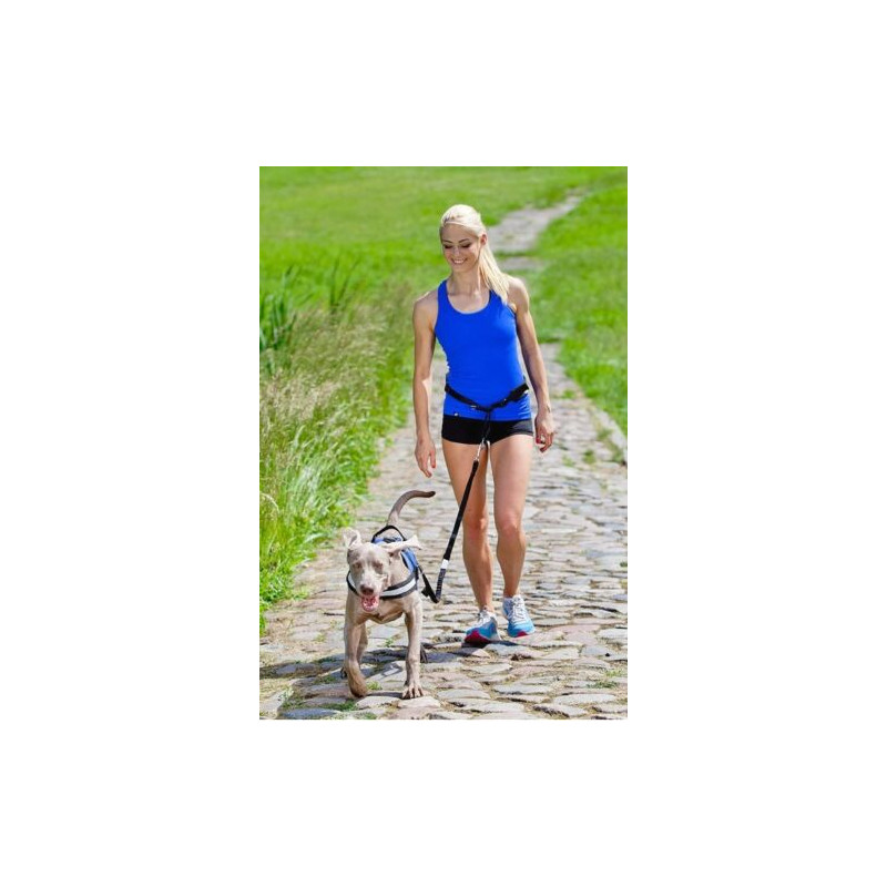 Dingo Jogginggurt 4 in 1 +Hundeleine mit einem...