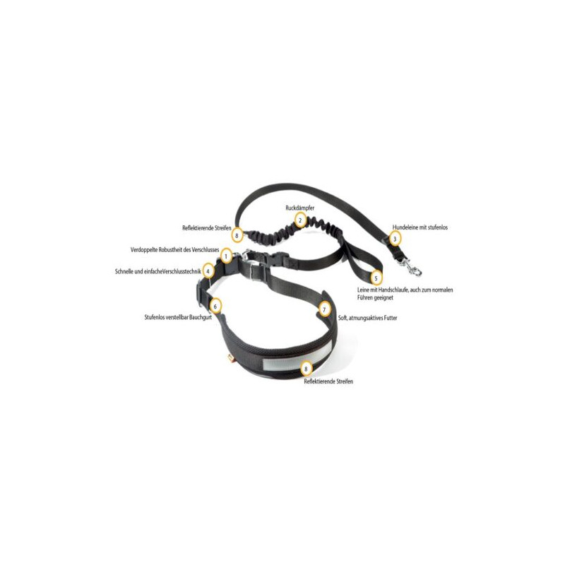 Dingo Jogginggurt 4 in 1 +Hundeleine mit einem...