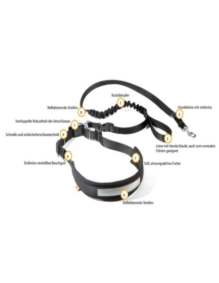 Dingo Jogginggurt 4 in 1 +Hundeleine mit einem Stoßdämpfer