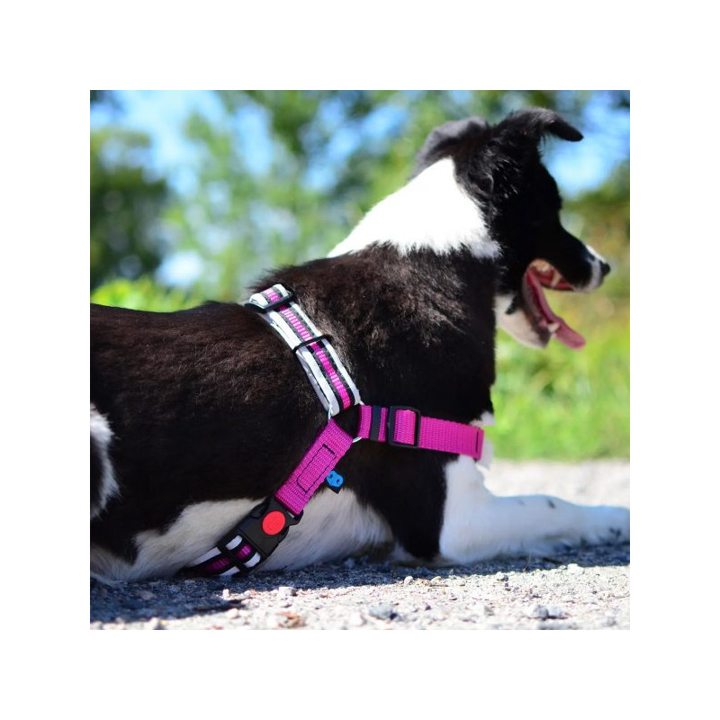 Hundegeschirr Anti-Zug
