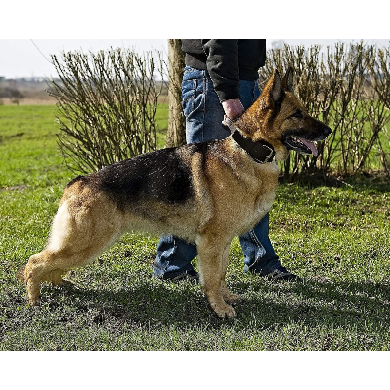 Halsband aus Weichem Leder mit Griff