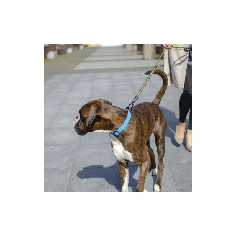 Anti-Zug Hundeleine mit Ruckdämpfer und...