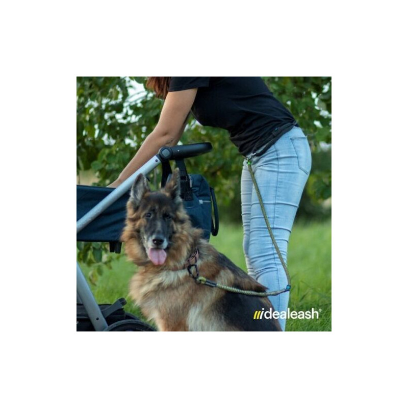 Anti-Zug Hundeleine mit Ruckdämpfer und...